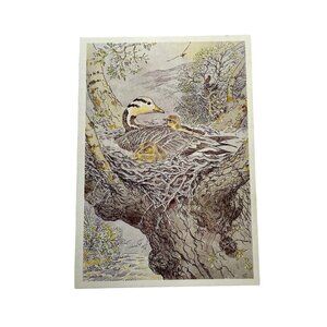Vintage Postcard  Russian Nature Duck and Baby 1989  u